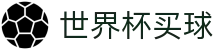 世界杯买球唯一指定官网 · 多端赛事同步观看